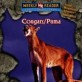 Cougars/puma