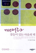 각성 : 깨어라 잠들어 있는 마음의 벽