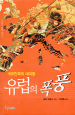 유럽의 폭풍 : 게르만족의 대이동 표지 이미지