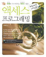 액세스 프로그래밍 : 예제로 마스터하는 액세스 활용 표지 이미지