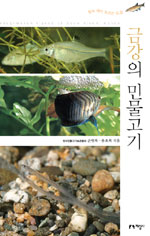 금강의 민물고기 표지 이미지