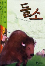 들소 이미지