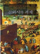 문화사의 과제 표지 이미지