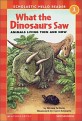 What the Dinosaurs Saw (Animals Living Then and Now, Scholastic Hello Reader Level 1-45)