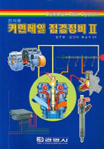 (전차종) 커먼레일 점검정비 = Common rail system. 2