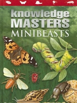 knowledge masters