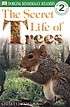 Secret Life of a Tree (Paperback)