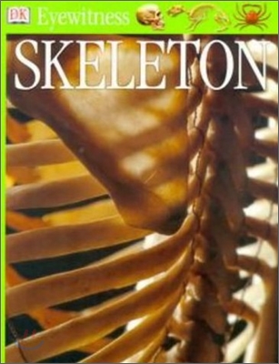Skeleton
