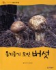 (옹기종기 모인) 버섯