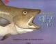 대구 이야기 (인문그림책 5) : 세계 역사를 바꾼 물고기