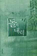 돌의 내력 표지 이미지