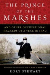 (The)prince of the marshes : (And)other occupational hazards of a year in Iraq