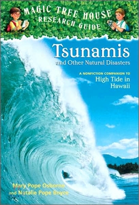 Tsunamis and other natural disasters: high tide in hawaii