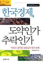 한국경제, 도약인가 추락인가 : 이슈로 짚어본 갈림길의 한국경제