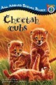 Cheetah Cubs (Paperback)