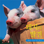 돼지의 발견 : 깔끔하고 똑똑한 돼지의 문화사