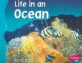 Life in an Ocean (Paperback)