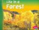 Life in a Forest (Paperback)