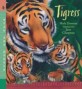 Tigress (Paperback)