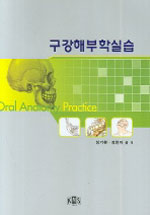 구강해부학실습 = Oral anatomy practice