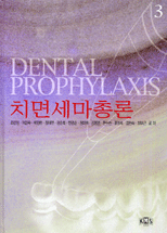 치면세마총론 = Dental prophylaxis