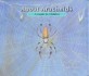 About Arachnids: A Guide for Children (Paperback) - A Guide for Children