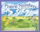 Prairie Numbers: An Illinois Number Book (Hardcover) - An Illinois Number Book