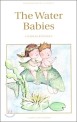 (The) water babies : a fairy tale for a landbaby