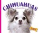 Chihuahuas (Library)