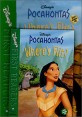 Where's Flit? (Level 1,Pocahontas)