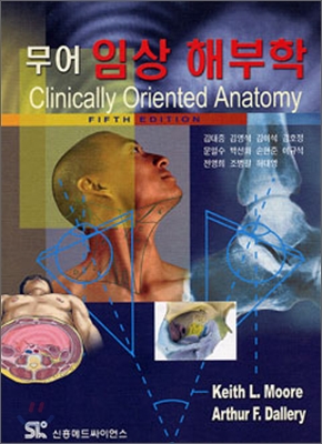 (무어) 임상 해부학