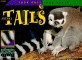 Animal Tails (Paperback )