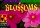 Plant Blossoms (Paperback )