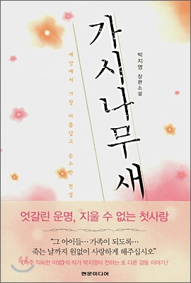 가시나무새: 박지영 장편소설