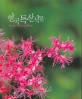 한국특산식물 = Korean endemic plants