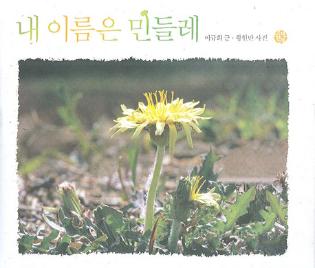 내 이름은 민들레 표지 이미지