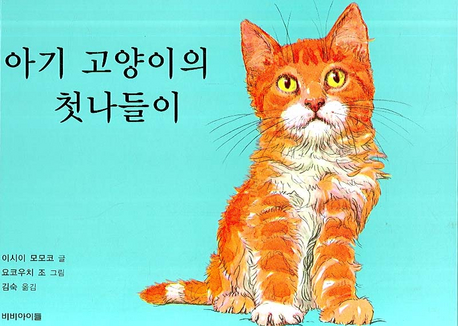 아기 고양이