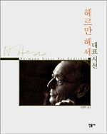 헤르만 헤세 대표 시선 표지 이미지