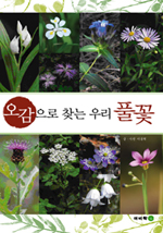 오감으로 찾는 우리 풀꽃