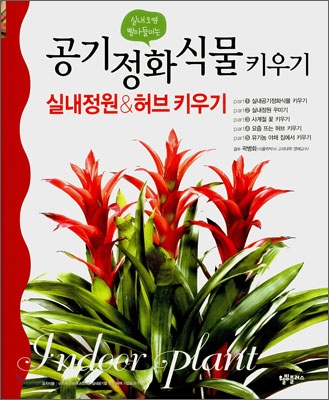 (실내오염 빨아들이는) 공기정화식물 키우기 = Indoor plant : 실내정원&허브 키우기