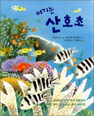 (여기는)산호초 표지 이미지