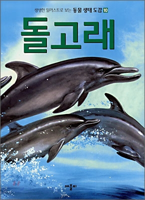 돌고래 표지 이미지