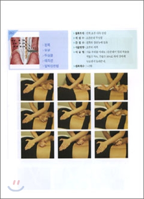 (전문가를 위한) 실전 마사지 실기법 표지 이미지