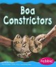 Boa Constrictors (Paperback )