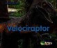 Velociraptor (Library)