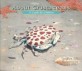 About Crustaceans (Paperback) - A Guide for Children