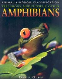 Amphibians: tree frogs, mud puppies & other