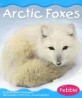 Arctic Foxes (Paperback )