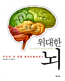 위대한 뇌 : 우리의 뇌 안을 들여다볼까요? 표지 이미지