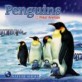 Penguins and other polar animals